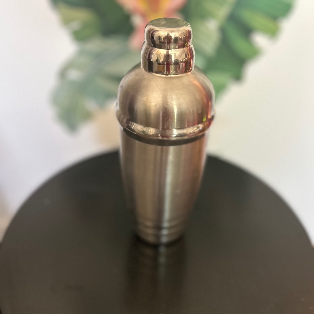 Stainless Steel Cocktail Shaker
